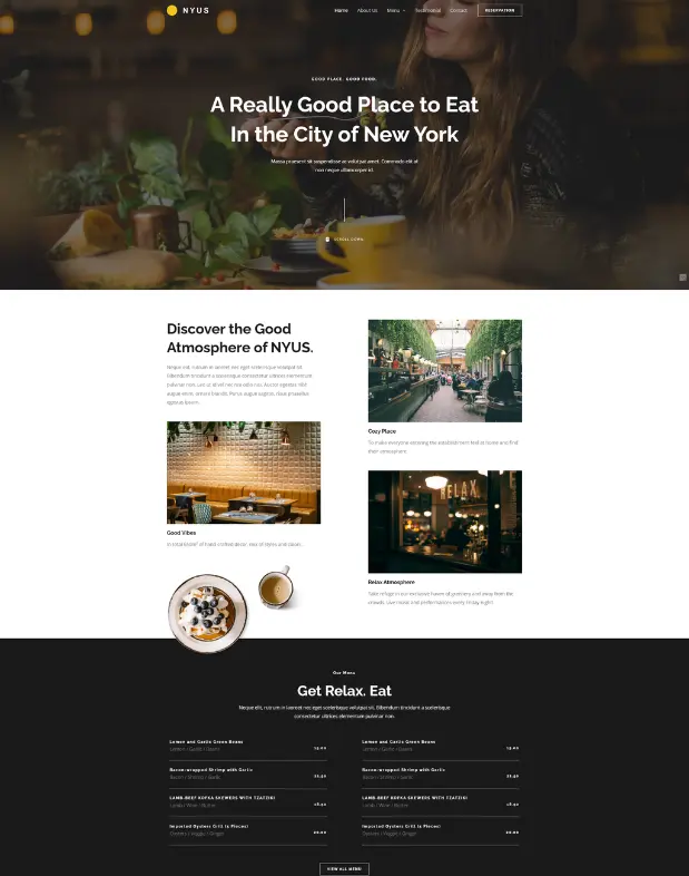 Website design showcase